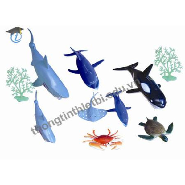 Bộ động vật biển 